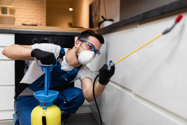 Best Pest Inspection Near Me  in Cohoes, NY