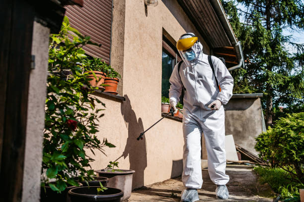 Best Residential Pest Control  in Cohoes, NY