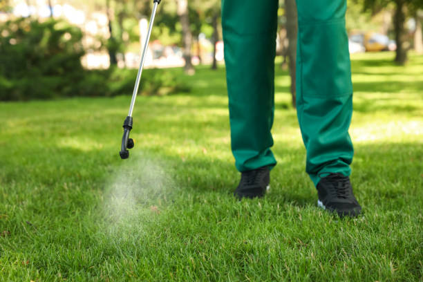 Best Termite Control Services  in Cohoes, NY