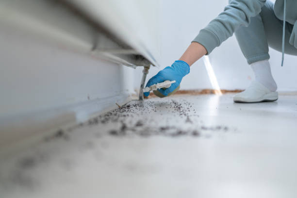Wildlife Control Services in Cohoes, NY